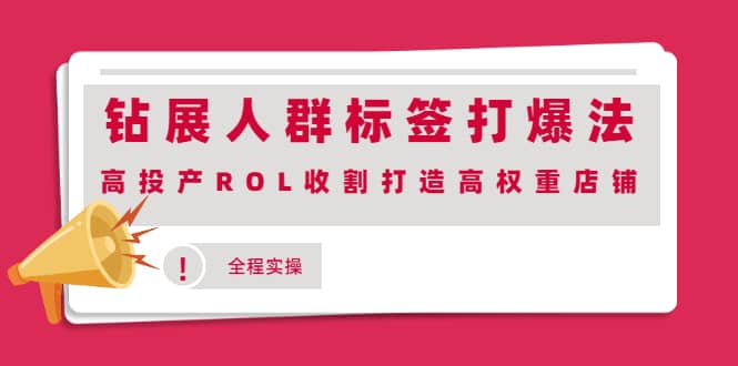 钻展人群标签打爆法，高投产ROL收割打造高权重店铺(全程实操)网创吧-网创项目资源站-副业项目-创业项目-搞钱项目搞钱网创吧