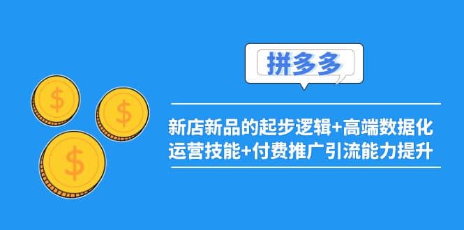 2022拼多多：新店新品的起步逻辑+高端数据化运营技能+付费推广引流能力提升搞钱网创吧-网创项目资源站-副业项目-创业项目-搞钱项目搞钱网创吧