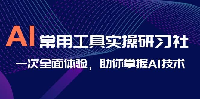 AI-常用工具实操研习社，一次全面体验，助你掌握AI技术搞钱网创吧-网创项目资源站-副业项目-创业项目-搞钱项目搞钱网创吧