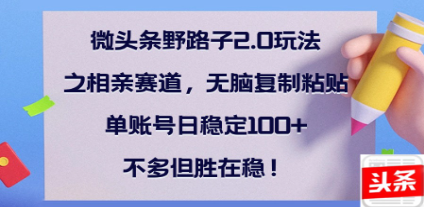 全网首发微头条野路子2.0玩法之相亲赛道，无脑搬砖复制粘贴，单账号日稳定300+保姆级教程网创吧-网创项目资源站-副业项目-创业项目-搞钱项目搞钱网创吧