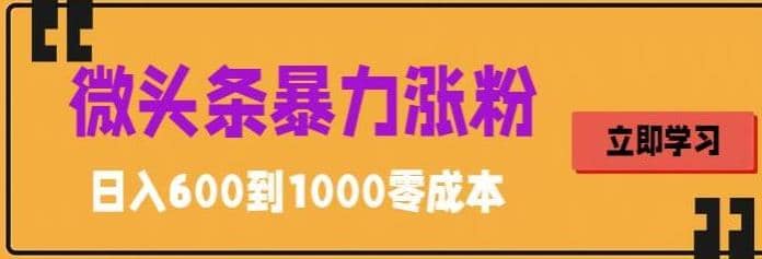微头条暴力涨粉技巧搬运文案就能涨几万粉丝，简单0成本，日赚600网创吧-网创项目资源站-副业项目-创业项目-搞钱项目搞钱网创吧