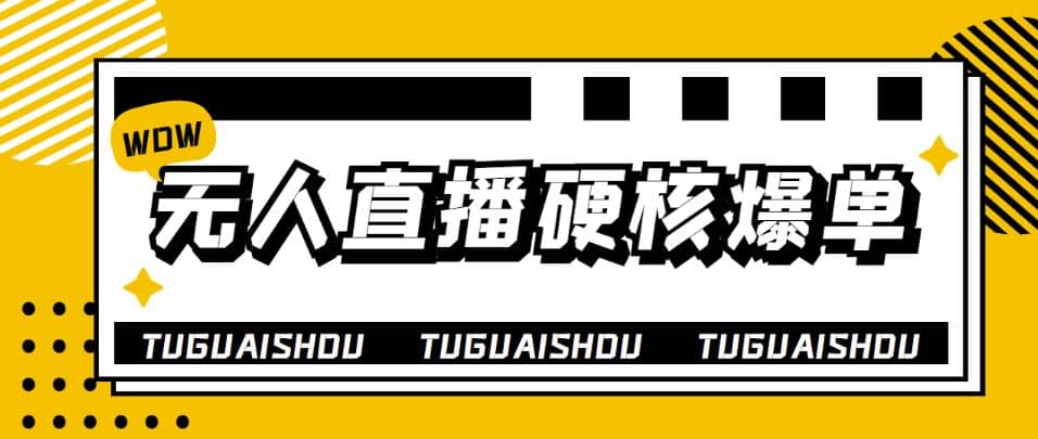 大飞无人直播硬核爆单技术，轻松玩转无人直播网创吧-网创项目资源站-副业项目-创业项目-搞钱项目搞钱网创吧