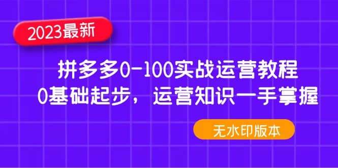 2023拼多多0-100实战运营教程，0基础起步，运营知识一手掌握（无水印）搞钱网创吧-网创项目资源站-副业项目-创业项目-搞钱项目搞钱网创吧