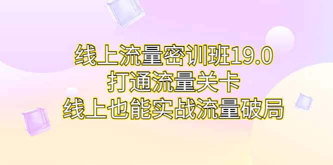线上流量密训班19.0，打通流量关卡，线上也能实战流量破局网创吧-网创项目资源站-副业项目-创业项目-搞钱项目搞钱网创吧