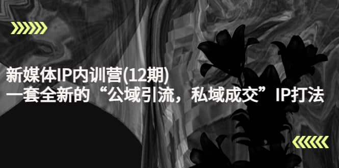 新媒体IP内训营(12期)，一套全新的“公域引流，私域成交”IP打法，直接带走网创吧-网创项目资源站-副业项目-创业项目-搞钱项目搞钱网创吧