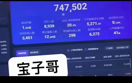 宝子哥无人直播，半无人直播，Obs+伴侣玩法，快速打标签+养鱼网创吧-网创项目资源站-副业项目-创业项目-搞钱项目搞钱网创吧