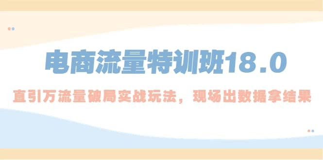 电商流量特训班18.0，直引万流量破局实操玩法，现场出数据拿结果网创吧-网创项目资源站-副业项目-创业项目-搞钱项目搞钱网创吧