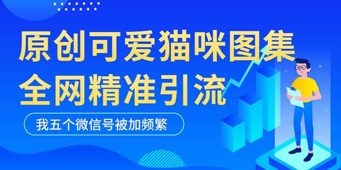 黑科技纯原创可爱猫咪图片，全网精准引流，实操5个VX号被加频繁网创吧-网创项目资源站-副业项目-创业项目-搞钱项目搞钱网创吧
