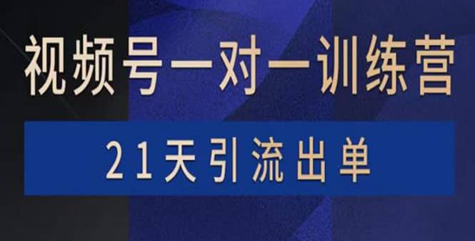 视频号训练营：带货，涨粉，直播，游戏，四大变现新方向，21天引流出单网创吧-网创项目资源站-副业项目-创业项目-搞钱项目搞钱网创吧