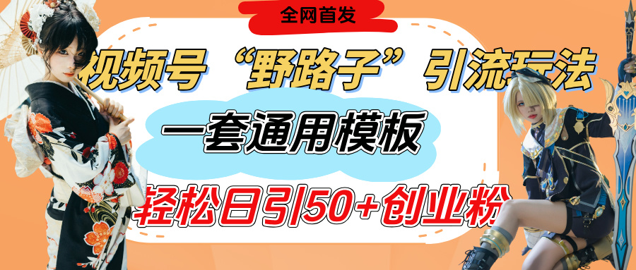 视频号“野路子”玩法，评论区疯狂截流，一套模板单日单号引流50+创业粉搞钱网创吧-网创项目资源站-副业项目-创业项目-搞钱项目搞钱网创吧
