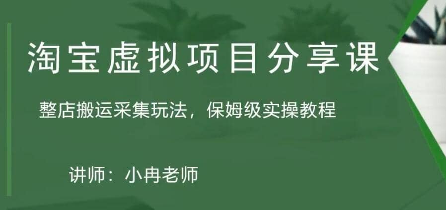 淘宝虚拟整店搬运采集玩法分享课：整店搬运采集玩法，保姆级实操教程搞钱网创吧-网创项目资源站-副业项目-创业项目-搞钱项目搞钱网创吧