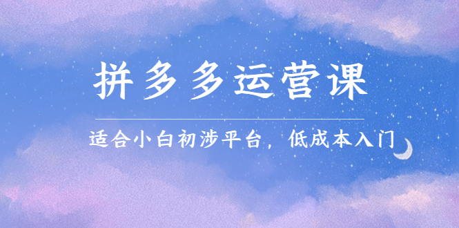 拼多多运营课，适合小白初涉平台，低成本入门网创吧-网创项目资源站-副业项目-创业项目-搞钱项目搞钱网创吧