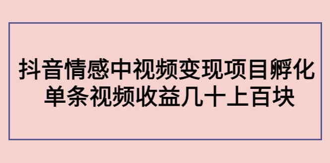 抖音情感中视频变现项目孵化网创吧-网创项目资源站-副业项目-创业项目-搞钱项目搞钱网创吧