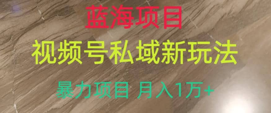蓝海项目，视频号私域新玩法，暴力项目月入1万+【揭秘】网创吧-网创项目资源站-副业项目-创业项目-搞钱项目搞钱网创吧