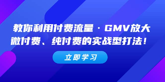 教你利用付费流量·GMV放大，微付费、纯付费的实战型打法网创吧-网创项目资源站-副业项目-创业项目-搞钱项目搞钱网创吧