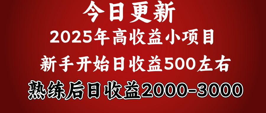 2025开年好项目，新手日收益500+ 熟练掌握后，日收益平均2000多网创吧-网创项目资源站-副业项目-创业项目-搞钱项目搞钱网创吧