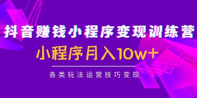 抖音小程序变现训练营：小程序各类玩法运营技巧变现搞钱网创吧-网创项目资源站-副业项目-创业项目-搞钱项目搞钱网创吧