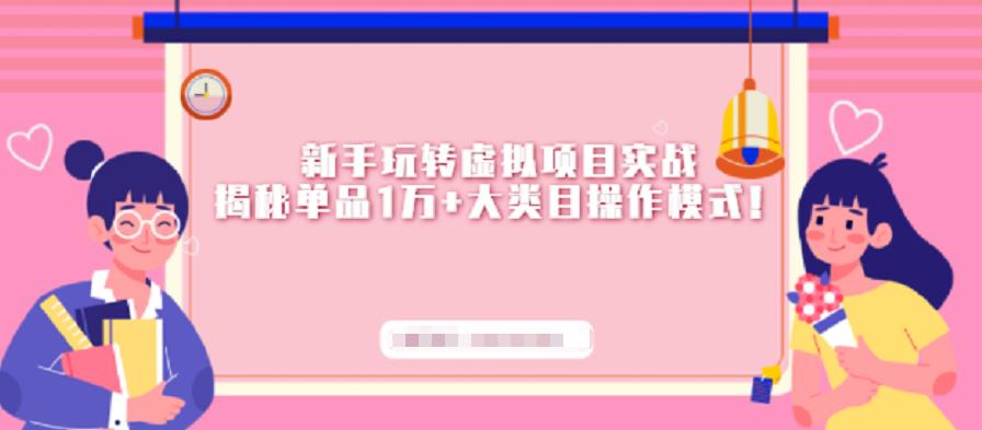 新手玩转虚拟项目实战，揭秘单品1万+大类目操作模式【视频课程】网创吧-网创项目资源站-副业项目-创业项目-搞钱项目搞钱网创吧