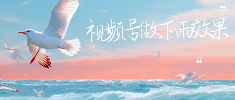 视频号做下雨视频一个账号一周涨粉10W+年入100w网创吧-网创项目资源站-副业项目-创业项目-搞钱项目搞钱网创吧
