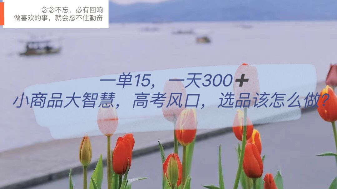 一单15，一天300+，小商品大智慧，高考风口，选品该怎么布局搞钱网创吧-网创项目资源站-副业项目-创业项目-搞钱项目搞钱网创吧