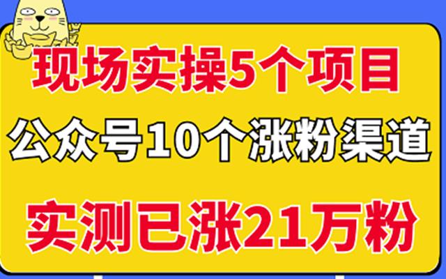 现场实操5个公众号项目，10个涨粉渠道，实测已涨21万粉！搞钱网创吧-网创项目资源站-副业项目-创业项目-搞钱项目搞钱网创吧