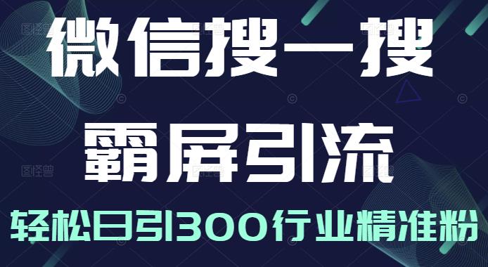 微信搜一搜霸屏引流课，打造被动精准引流系统，轻松日引300行业精准粉【无水印】网创吧-网创项目资源站-副业项目-创业项目-搞钱项目搞钱网创吧