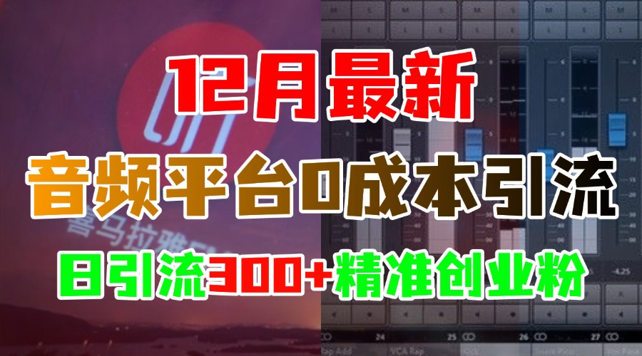 12月最新：音频平台0成本引流，日引300+精准创业粉搞钱网创吧-网创项目资源站-副业项目-创业项目-搞钱项目搞钱网创吧