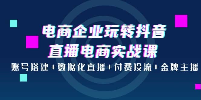 电商企业玩转抖音直播电商实战课：账号搭建+数据化直播+付费投流+金牌主播搞钱网创吧-网创项目资源站-副业项目-创业项目-搞钱项目搞钱网创吧