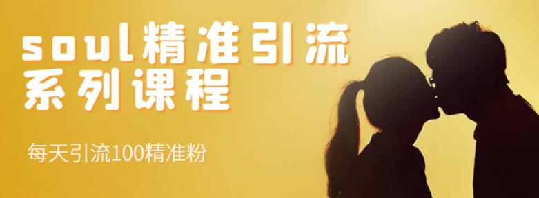 soul精准引流系列课程，每天引流100精准粉网创吧-网创项目资源站-副业项目-创业项目-搞钱项目搞钱网创吧