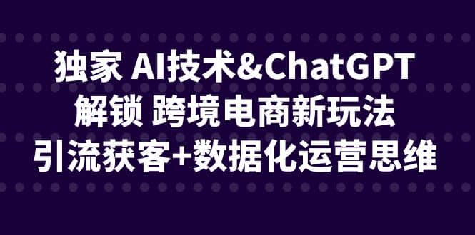 独家 AI技术ChatGPT解锁 跨境电商新玩法，引流获客+数据化运营思维网创吧-网创项目资源站-副业项目-创业项目-搞钱项目搞钱网创吧
