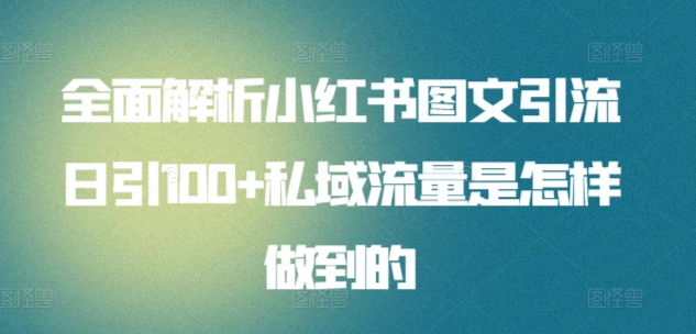 暴力引流 小红书图文引流日引100私域全面拆解【打粉人必看】网创吧-网创项目资源站-副业项目-创业项目-搞钱项目搞钱网创吧
