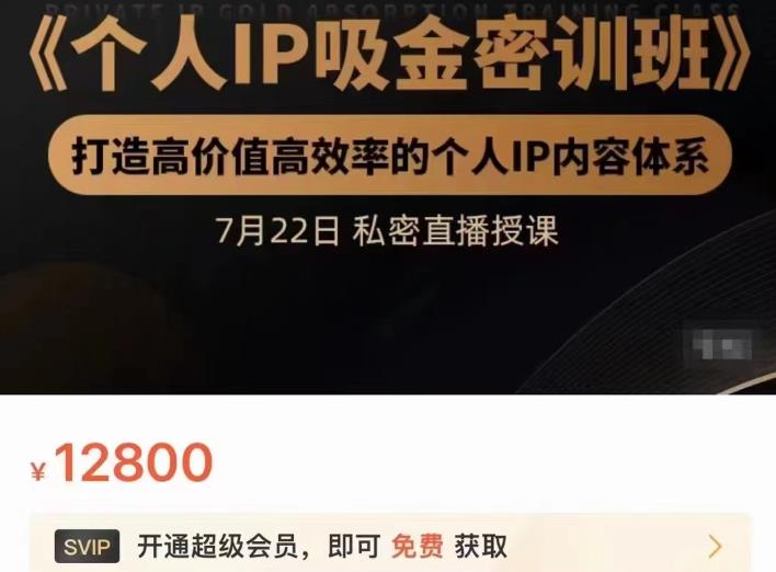 个人IP吸金密训班，打造高价值高效率的个人IP内容体系（价值12800元）搞钱网创吧-网创项目资源站-副业项目-创业项目-搞钱项目搞钱网创吧