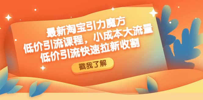 最新淘宝引力魔方低价引流实操：小成本大流量网创吧-网创项目资源站-副业项目-创业项目-搞钱项目搞钱网创吧