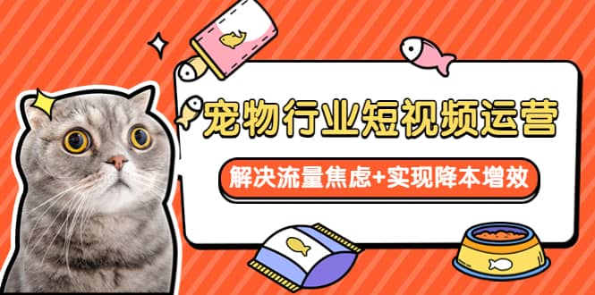 宠物/行业短视频运营 流量增长的一层窗户纸 解决流量焦虑+实现降本增效搞钱网创吧-网创项目资源站-副业项目-创业项目-搞钱项目搞钱网创吧