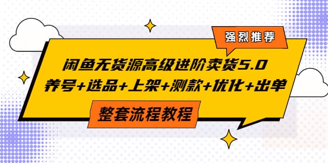 闲鱼无货源高级进阶卖货5.0，养号+选品+上架+测款+优化+出单整套流程教程网创吧-网创项目资源站-副业项目-创业项目-搞钱项目搞钱网创吧