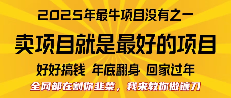 全网都在割你韭菜，我来教你做镰刀。卖项目就是最好的项目，2025年最牛互联网项目网创吧-网创项目资源站-副业项目-创业项目-搞钱项目搞钱网创吧