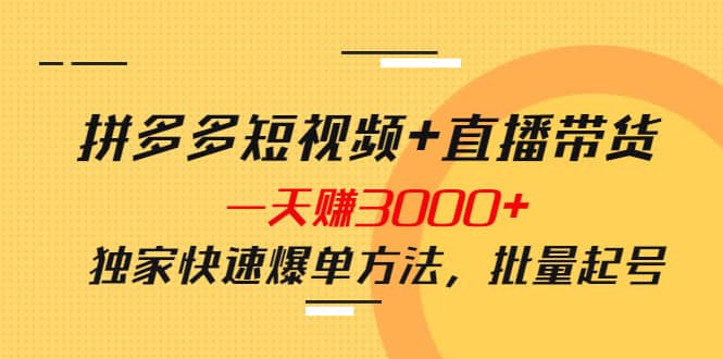 拼多多短视频+直播带货，一天赚3000+独家快速爆单方法，批量起号网创吧-网创项目资源站-副业项目-创业项目-搞钱项目搞钱网创吧