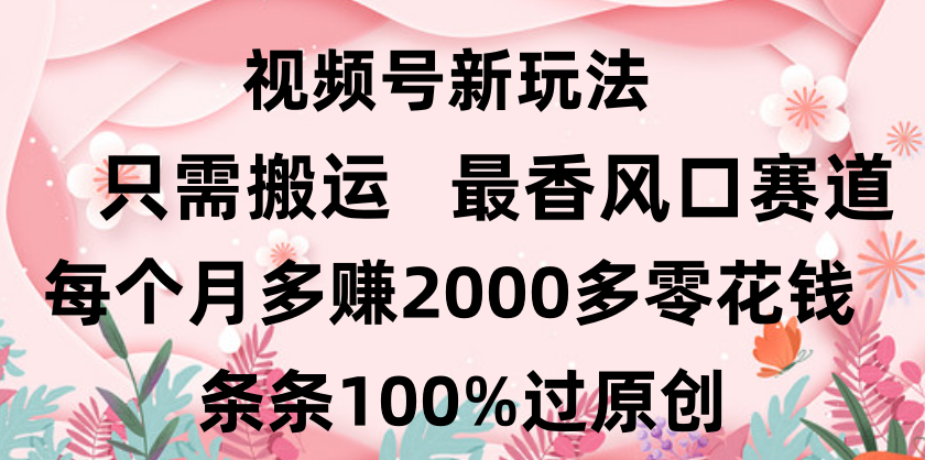 日入2000+，条条100%过原创，视频号最香风口赛道，小白轻松上手搞钱网创吧-网创项目资源站-副业项目-创业项目-搞钱项目搞钱网创吧