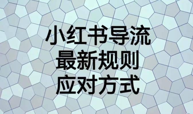 小红书导流最新规则应对方式【揭秘】网创吧-网创项目资源站-副业项目-创业项目-搞钱项目搞钱网创吧