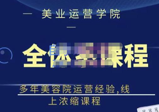 网红美容院全套营销落地课程，多年美容院运营经验，线上浓缩课程搞钱网创吧-网创项目资源站-副业项目-创业项目-搞钱项目搞钱网创吧