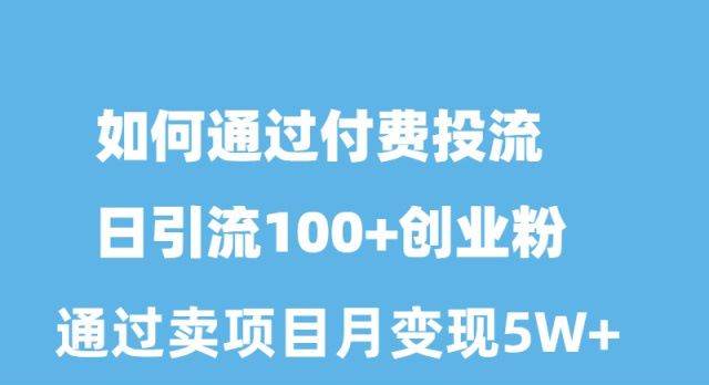 如何通过付费投流日引流100+创业粉月变现5W+网创吧-网创项目资源站-副业项目-创业项目-搞钱项目搞钱网创吧