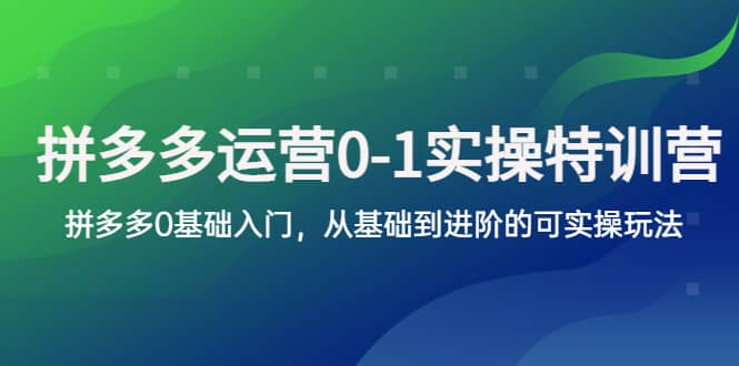 拼多多-运营0-1实操训练营，拼多多0基础入门，从基础到进阶的可实操玩法网创吧-网创项目资源站-副业项目-创业项目-搞钱项目搞钱网创吧