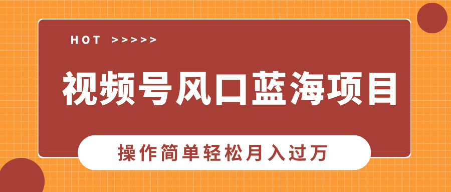 视频号风口蓝海项目，中老年人的流量密码，操作简单轻松月入过万网创吧-网创项目资源站-副业项目-创业项目-搞钱项目搞钱网创吧