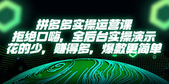 拼多多实操运营课：拒绝口嗨，全后台实操演示，花的少，赚得多，爆款更简单网创吧-网创项目资源站-副业项目-创业项目-搞钱项目搞钱网创吧