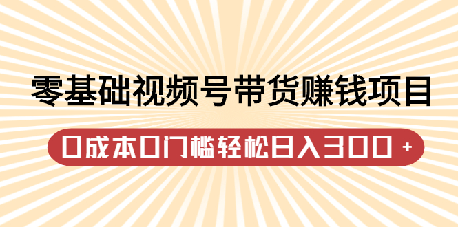 零基础视频号带货赚钱项目，0成本0门槛轻松日入300+【视频教程】网创吧-网创项目资源站-副业项目-创业项目-搞钱项目搞钱网创吧