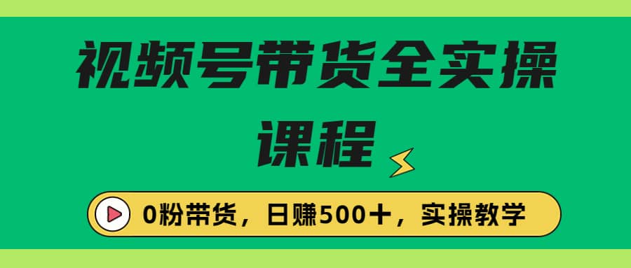 收费1980的视频号带货保姆级全实操教程，0粉带货网创吧-网创项目资源站-副业项目-创业项目-搞钱项目搞钱网创吧