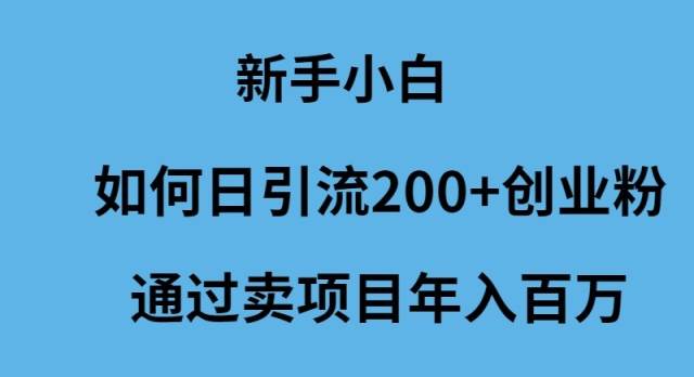 新手小白如何日引流200+创业粉通过卖项目年入百万网创吧-网创项目资源站-副业项目-创业项目-搞钱项目搞钱网创吧
