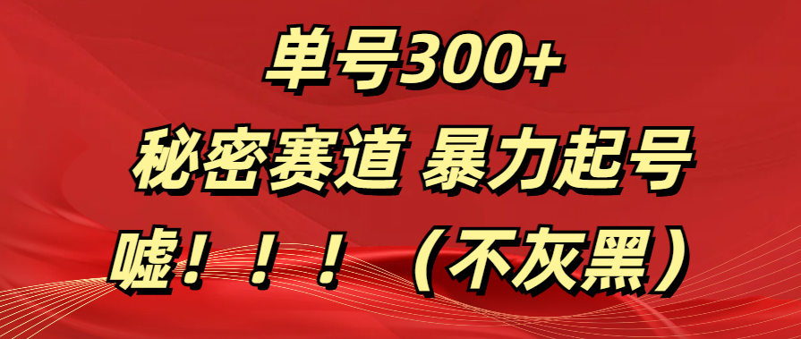单号300+  秘密赛道 暴力起号  （不灰黑）搞钱网创吧-网创项目资源站-副业项目-创业项目-搞钱项目搞钱网创吧
