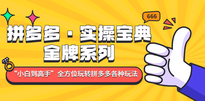 拼多多·实操宝典：金牌系列“小白到高手”带你全方位玩转拼多多各种玩法网创吧-网创项目资源站-副业项目-创业项目-搞钱项目搞钱网创吧