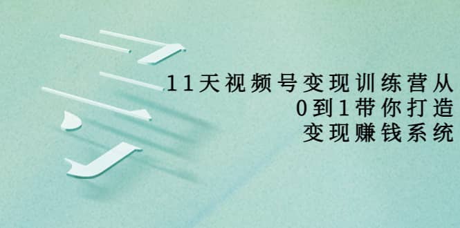 好望角·11天视频号变现训练营，从0到1打造变现赚钱系统（价值398）搞钱网创吧-网创项目资源站-副业项目-创业项目-搞钱项目搞钱网创吧
